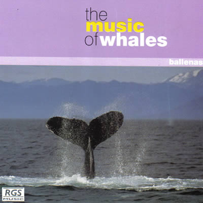 The music of whales